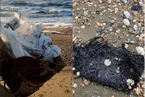  &copy;&nbsp;Коллаж из скриншотов фото из телеграм-канала &laquo;Оперативный штаб - Краснодарский край&raquo;