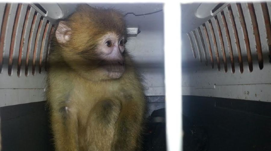  &copy;&nbsp;пресс-службе ПУ ФСБ России по Ростовской области