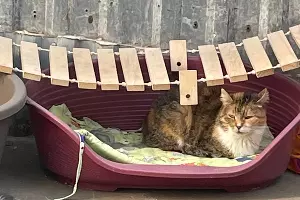  &copy;&nbsp;Фото Даниила Вальца