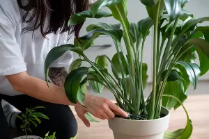  &copy;&nbsp;Изображение пользователя Freepik с сайта freepik.com