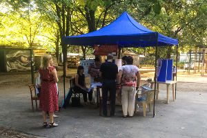 Выборы главы Краснодарского края и депутатов городской думы Краснодара © Фото Сергея Бурцева