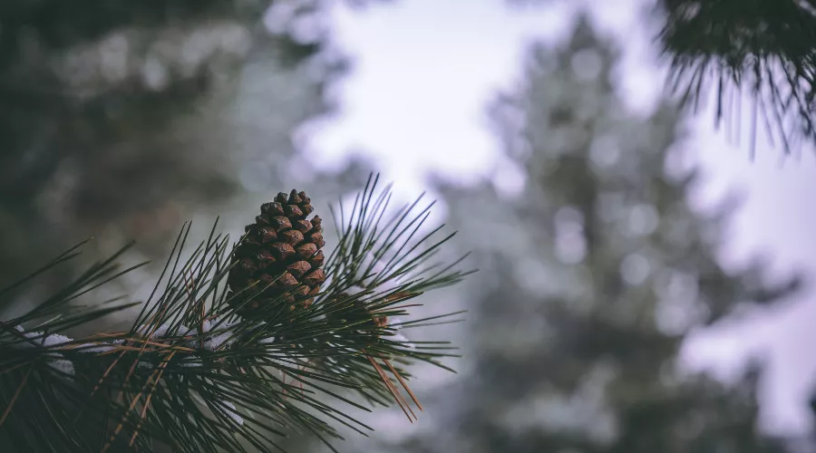  &copy;&nbsp;Фото wirestock, сайт freepik.com