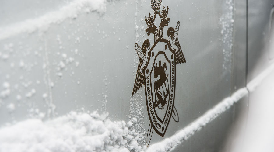  © Фото Елены Синеок, Юга.ру