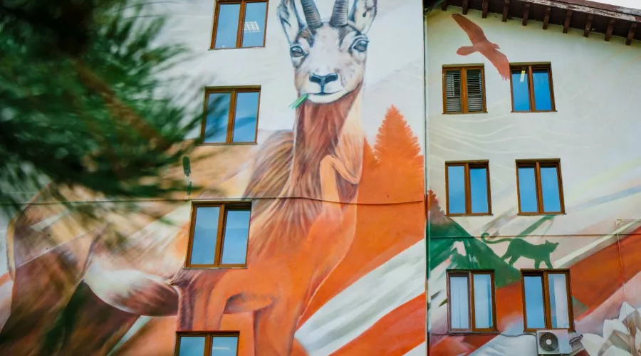  &copy;&nbsp;Фото пресс-службы Курорта Красная Поляна