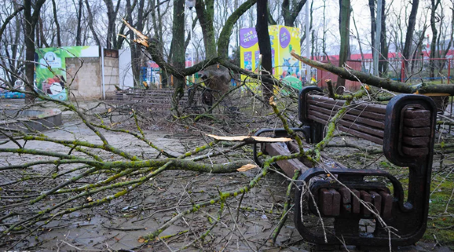 Ликвидация последствий ледяного дождя в Краснодаре &copy;&nbsp;Елена Синеок, ЮГА.ру