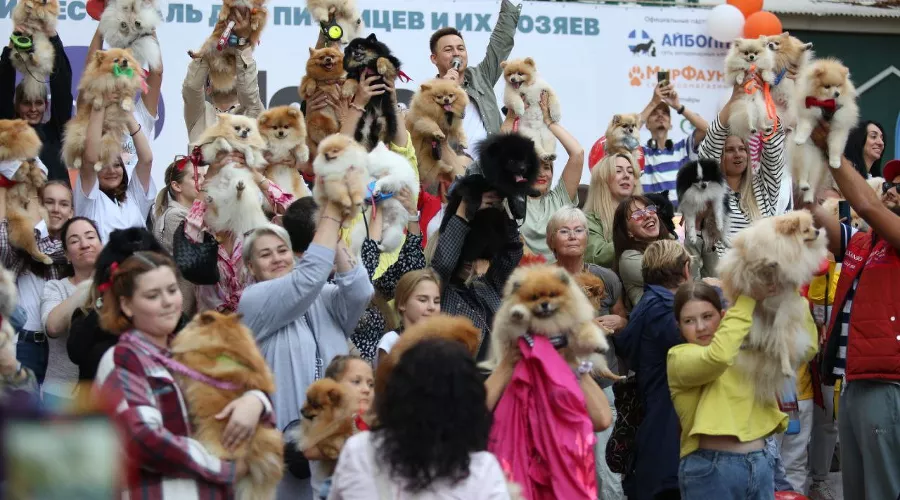  &copy;&nbsp;Фото предоставлено Юга.ру Дмитрием Чигаревым