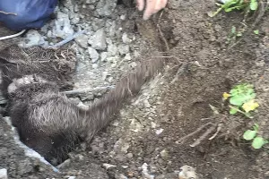  &copy;&nbsp;Фото со страницы instagram.com/alekseioderov