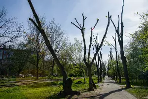  &copy;&nbsp;Фото Евгения Мельченко, Юга.ру