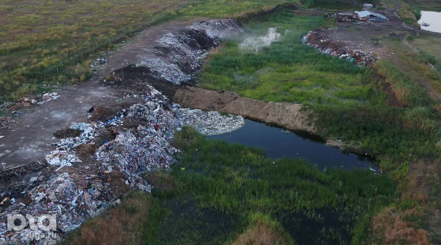  &copy;&nbsp;Фото Кирилла Панькова, Юга.ру