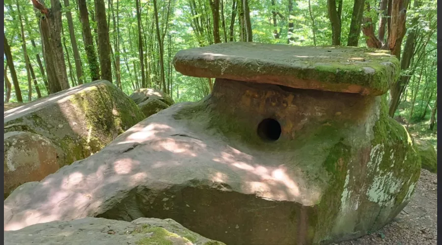  &copy;&nbsp;Скриншот из телеграм-канала главы Туапсинского района Сергея Бойко https://t.me/glavatuapseregion/1695