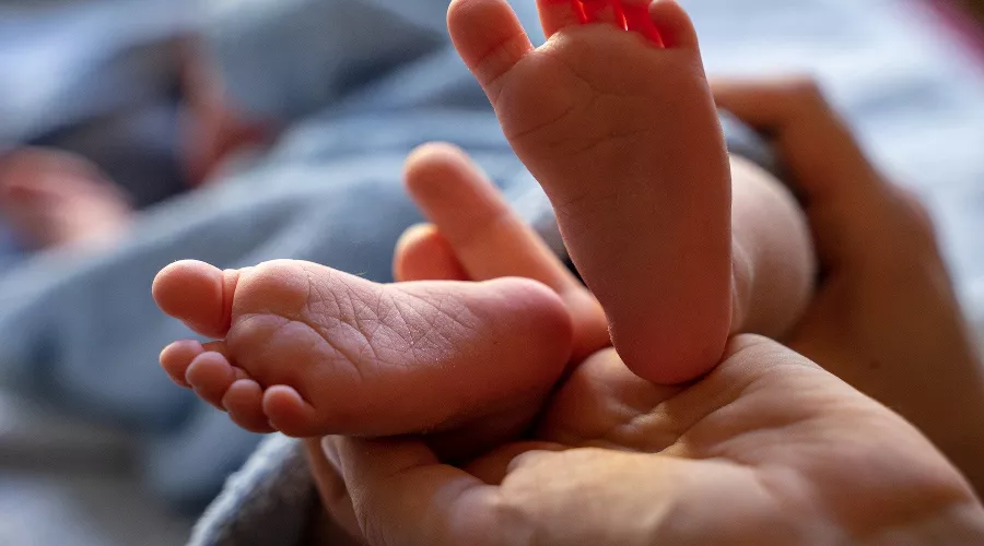  &copy;&nbsp;Фото ThorstenF с сайта pixabay.com