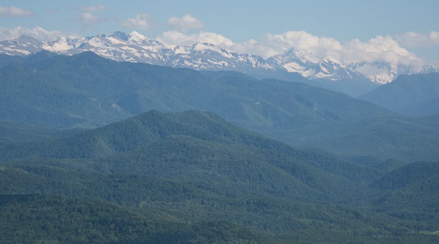  © Фото Елены Синеок, Юга.ру