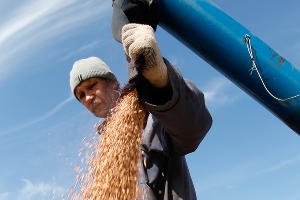  © Эдуард Корниенко, ЮГА.ру