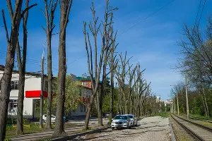  &copy;&nbsp;Фото Евгения Мельченко, Юга.ру