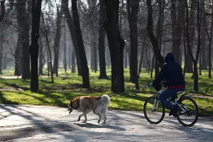  &copy;&nbsp;Фото Елены Синеок, Юга.ру