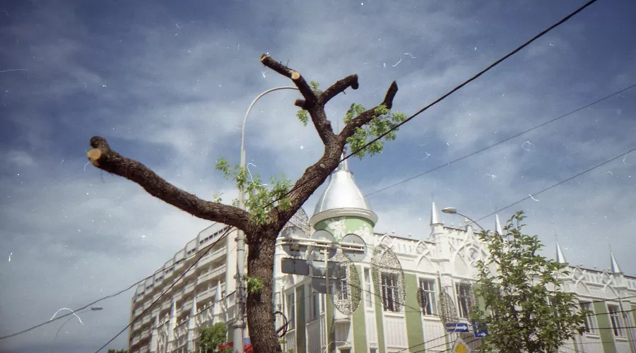  &copy;&nbsp;Фото Александра Гончаренко, Юга.ру