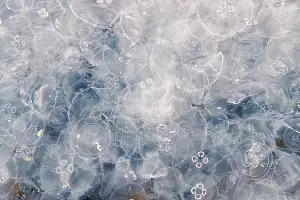  &copy;&nbsp;Фото Андрея Сафонова, www.instagram.com/safonov_travel