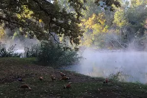  &copy;&nbsp;Фото Марины Солошко, Юга.ру