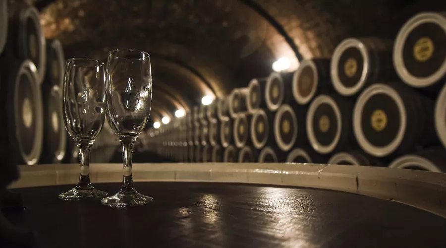  &copy;&nbsp;Фото Елены Синеок, Юга.ру