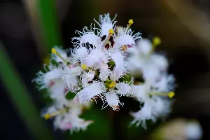  &copy;&nbsp;Фото ведущего научного сотрудника Кавказского заповедника Сергея Трепета