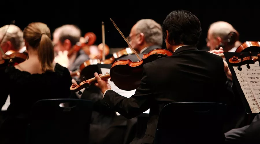  &copy;&nbsp;Фото с сайта pixabay.com