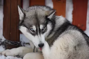 Тест-драйв SKODA Yeti в Красной Поляне &copy;&nbsp;Фото Елены Синеок, Юга.ру