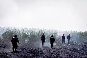 Добровольные пожарные тушат пожар в Могукоровке &copy;&nbsp;Фото Алисы Пелешенко, группа &laquo;Добровольные пожарные Кубани&raquo;