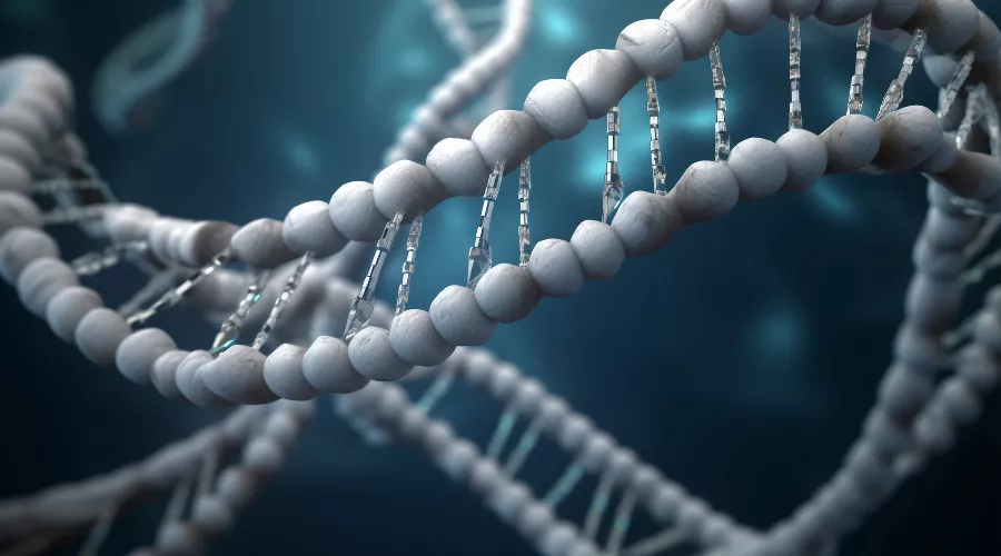  &copy;&nbsp;Фото freepik, сайт freepik.com