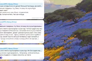  &copy;&nbsp;Скриншот из телеграм-канала &laquo;Супер новости Новороссийска&raquo; https://t.me/chat_novoross/601502