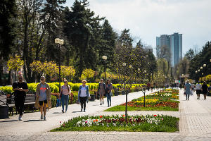 Как цветет Краснодар весной. Улица Красная © Фото Елены Синеок, Юга.ру