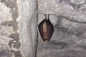  &copy;&nbsp;Фото Олега Колокола