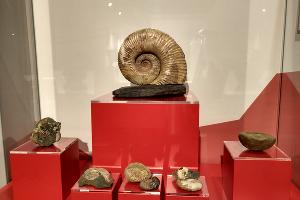  © Фото пресс-службы курорта «Роза Хутор»