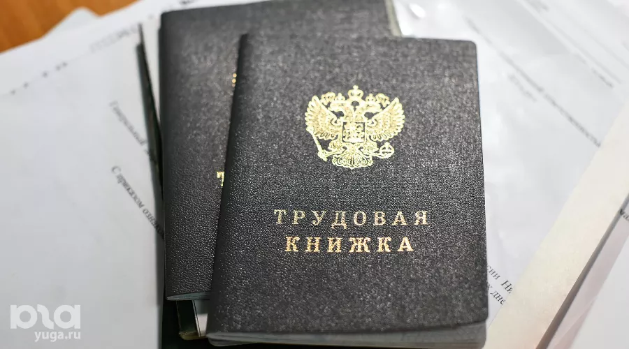 Трудовая книжка &copy;&nbsp;Фото Елены Синеок, Юга.ру