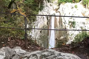  &copy;&nbsp;Фото Сочинского нацпарка