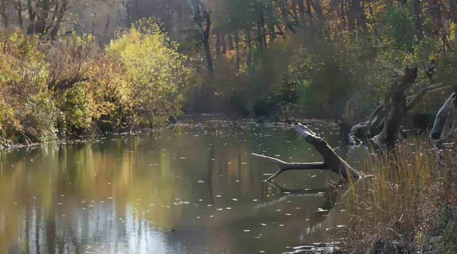 Работа Михаила Шнурникова &copy;&nbsp;Скриншот фото из письма Краснодарского музея имени Коваленко