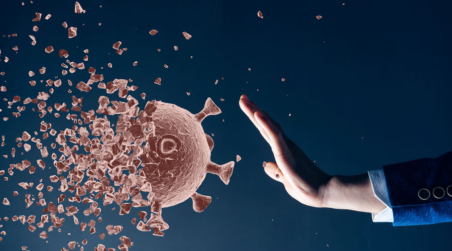  © Коллаж пресс-службы компании «Билайн»