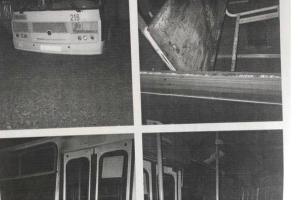  © Фото из из телеграм-канала «Телетайп Краснодара», t.me/tipichkras