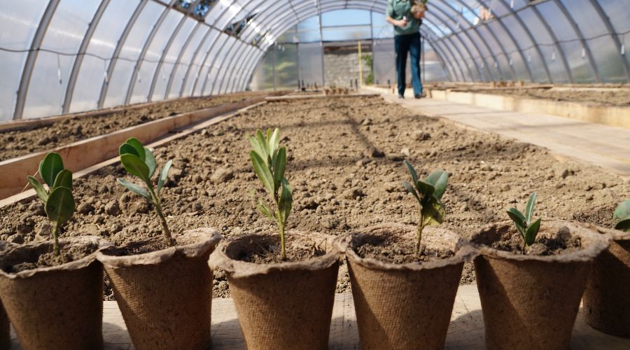  © Фото пресс-службы отделения «Российский Кавказ» WWF России