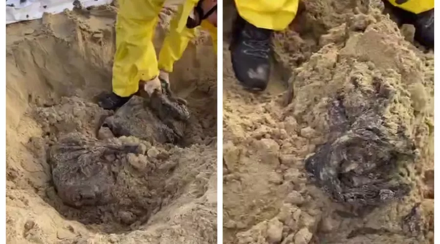  &copy;&nbsp;Скриншот из телеграм-канала Юрия Озаровского https://t.me/MoreOz/81697