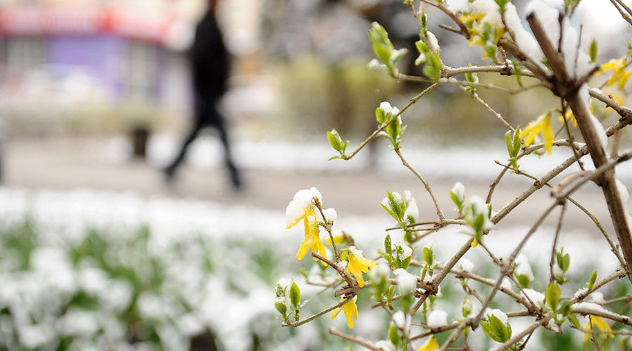  © Фото Алены Живцовой, Юга.ру