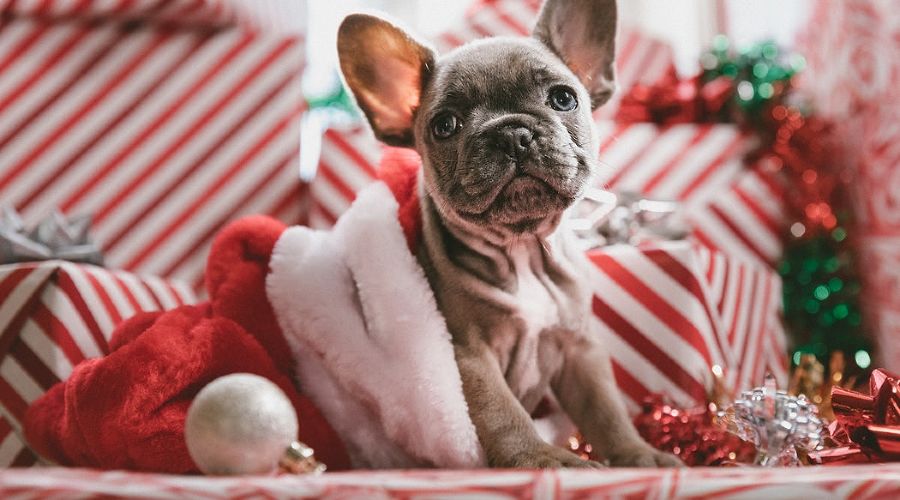  © Фото Jakob Owens, unsplash.com