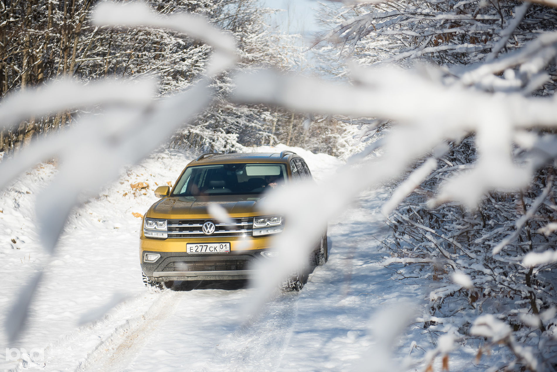 За снегом на Volkswagen Teramont © Фото Елены Синеок, Юга.ру