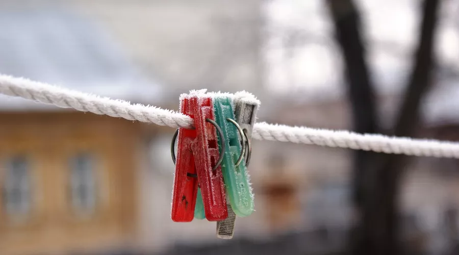  &copy;&nbsp;Фото с сайта pixabay.com