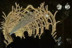  &copy;&nbsp;Фото Марии Журавлевой, Юга.ру