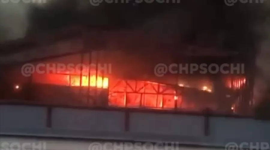  &copy;&nbsp;Кадр из видео телеграм-канала &laquo;ЧП Сочи&raquo;, t.me/chp_sochi