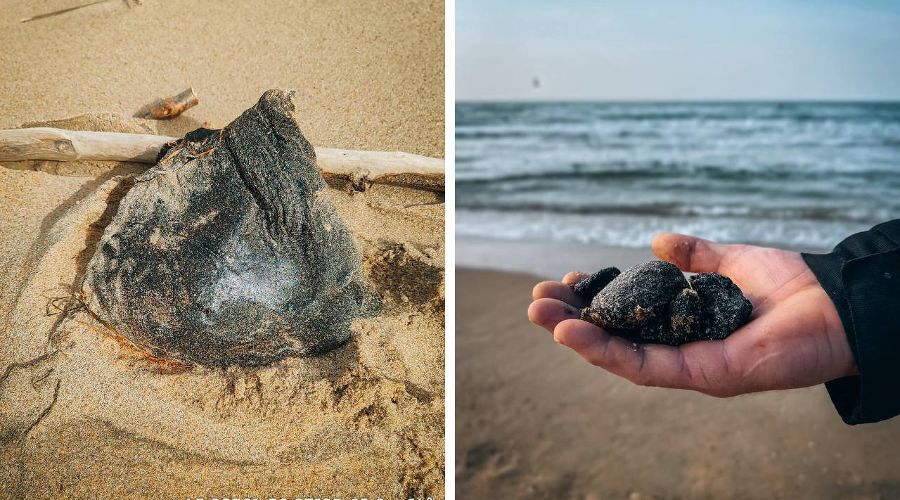  &copy;&nbsp;Скриншоты фото из телеграм-канала &laquo;Сети, сито, лопата&raquo;