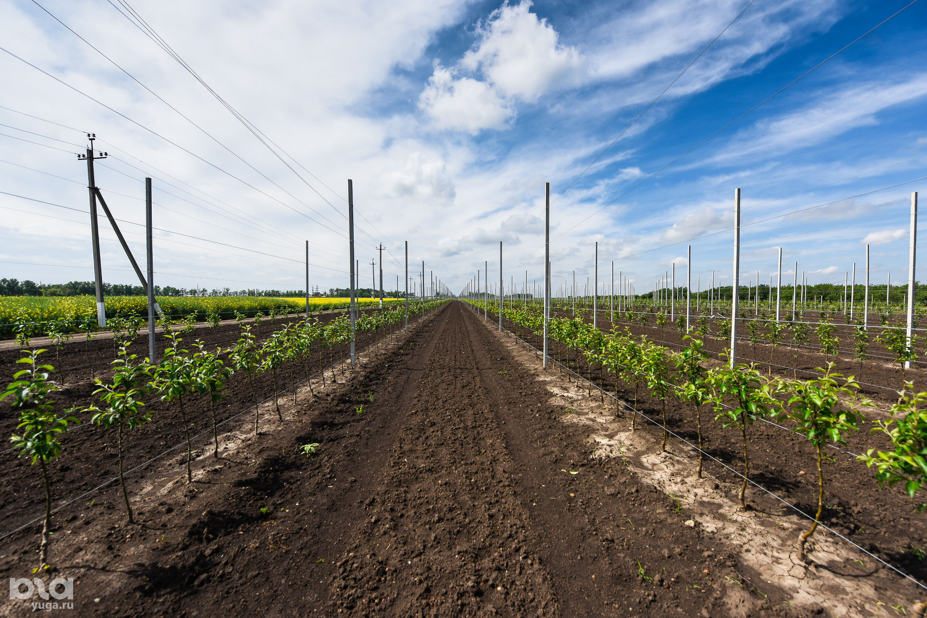 станица выселковская краснодарского края на карте. выселковский агрокомплекс выселки. погода выселковском районе краснодарский край. выселковский район. погода выселковском районе краснодарский край.