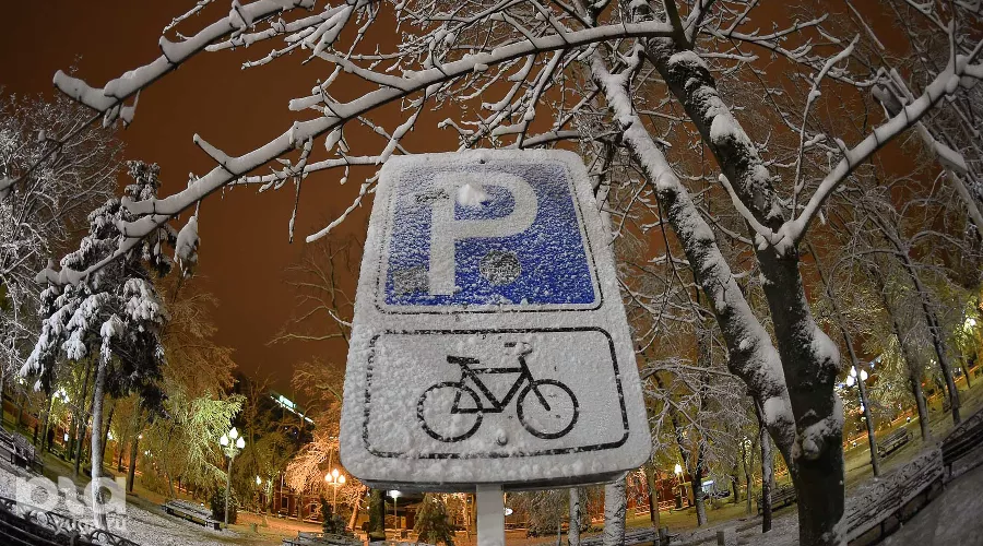  &copy;&nbsp;Фото Михаила Ступина, Юга.ру