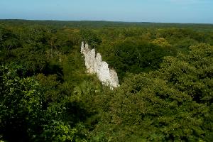  © Фото Максима Богатырева