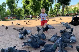  &copy;&nbsp;Фото Елены Синеок, Юга.ру